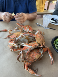 Crab!