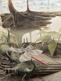 Carboniferous dragonfly model at the Museum of Natural History!