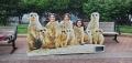 Nine meerkats at the zoo!