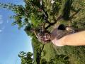 Peach Picking!