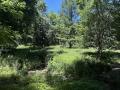 A meadow surrounded by trees that I found while lost in the woods